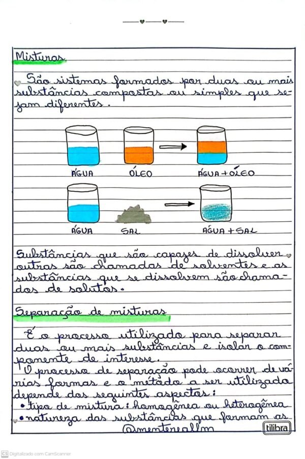 Atividades de Ciências 4º e 5º ano "Manuscritas" - Imagem 5
