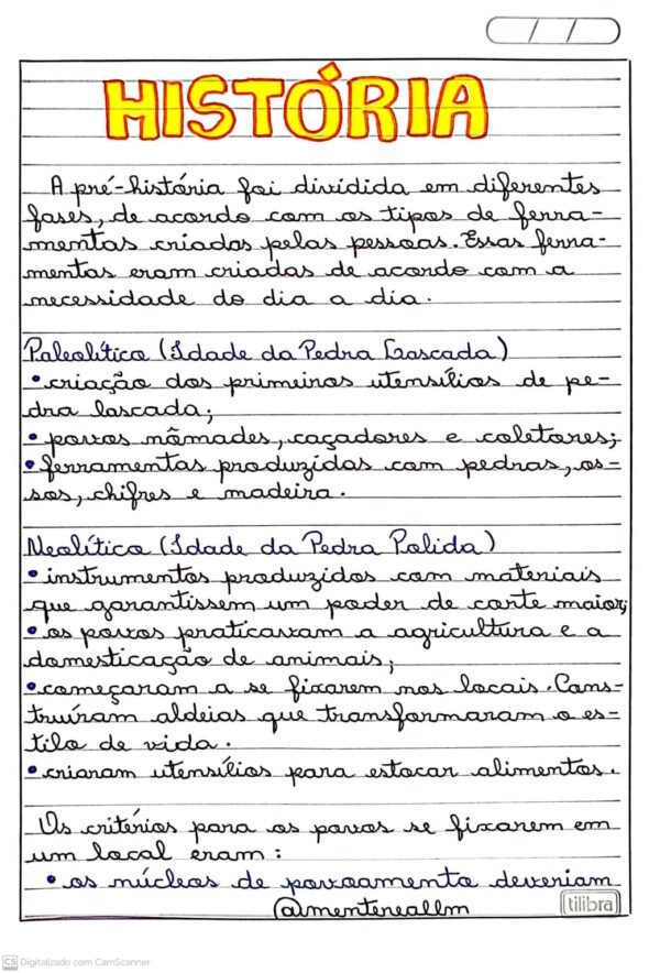 Atividades de História 4º e 5º ano "Manuscritas" - Imagem 2