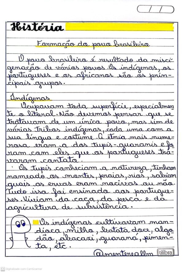 Atividades de História 4º e 5º ano "Manuscritas" - Imagem 3