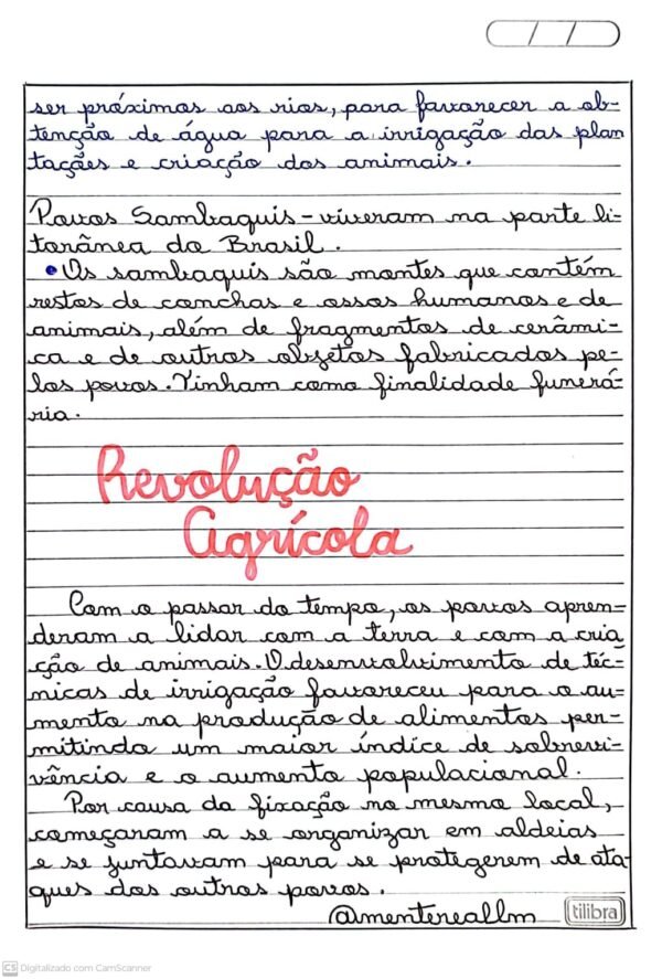 Atividades de História 4º e 5º ano "Manuscritas" - Imagem 5