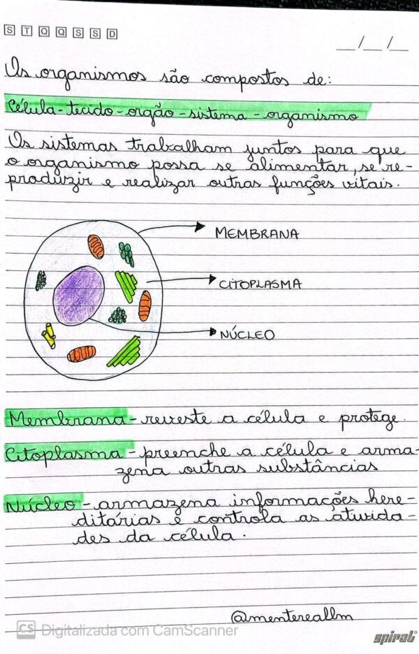 Kit Prático para Reforçar do 3º ao 5º Ano - Imagem 4